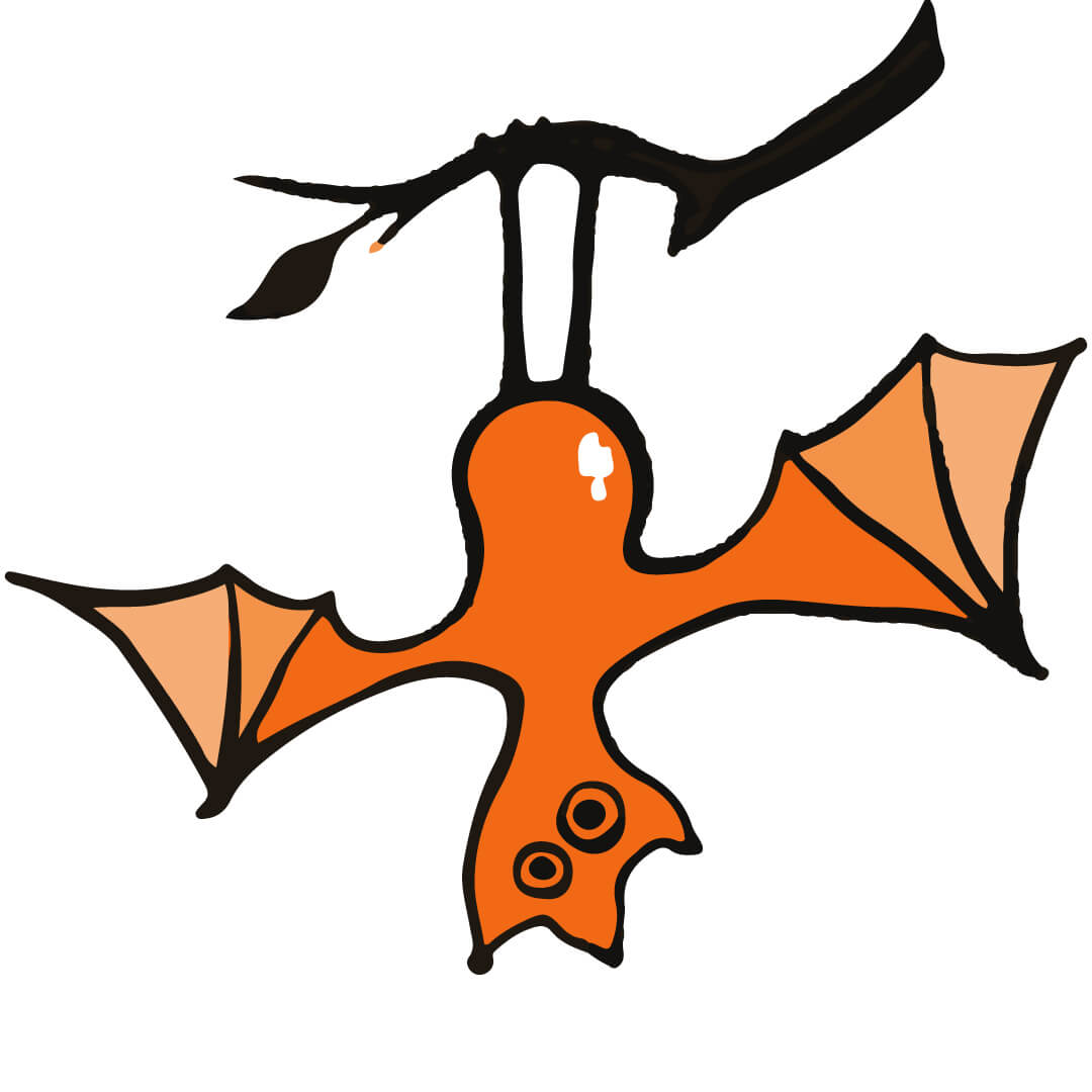 Bat